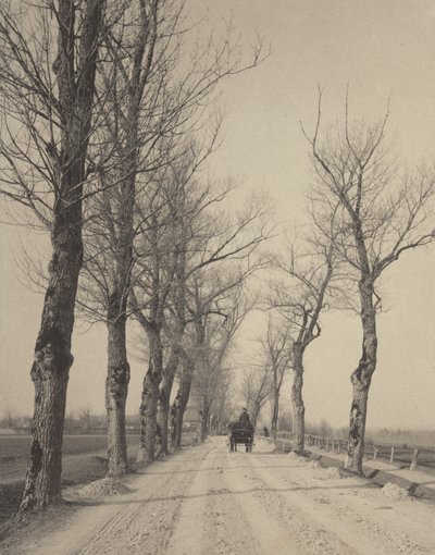 Novemberi napok alkotó: Alfred Stieglitz
