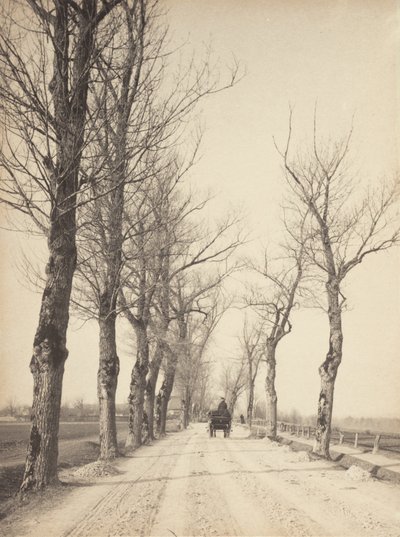  alkotó: Alfred Stieglitz