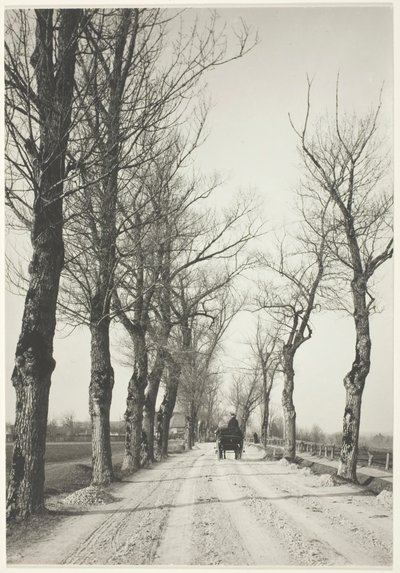 Novemberi napok, 1887, nyomtatva 192039. alkotó: Alfred Stieglitz