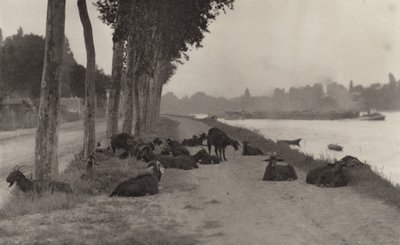  alkotó: Alfred Stieglitz
