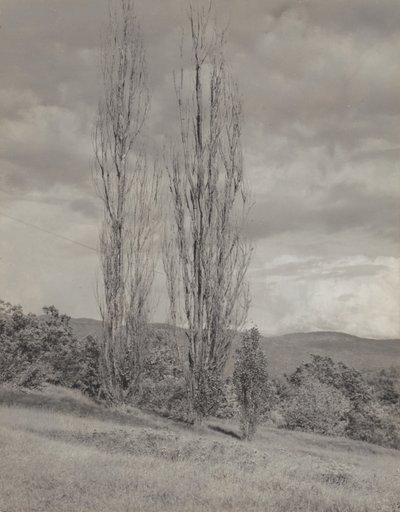  alkotó: Alfred Stieglitz