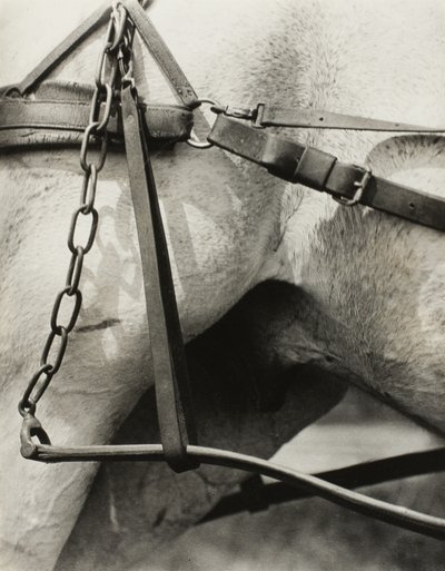 Spirituális Amerika: Az ég dalai A1 alkotó: Alfred Stieglitz