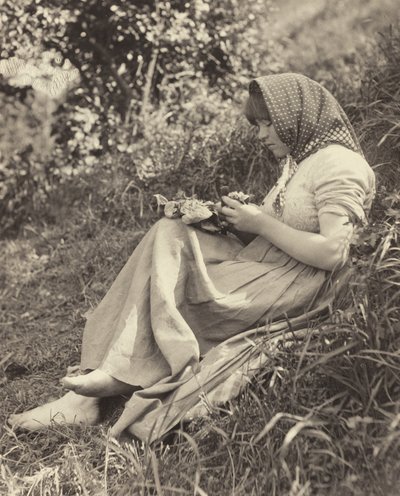 Napfény-hatás alkotó: Alfred Stieglitz