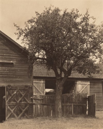 A pajta alkotó: Alfred Stieglitz