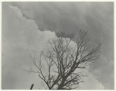 Fakészlet 3 alkotó: Alfred Stieglitz