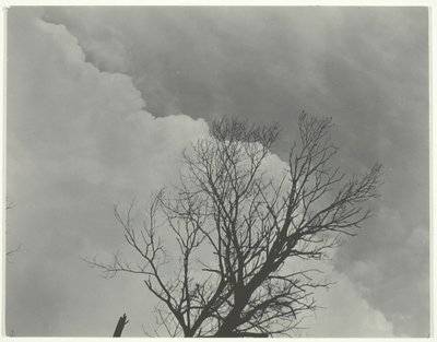 3. fakészlet, c. 1924. alkotó: Alfred Stieglitz