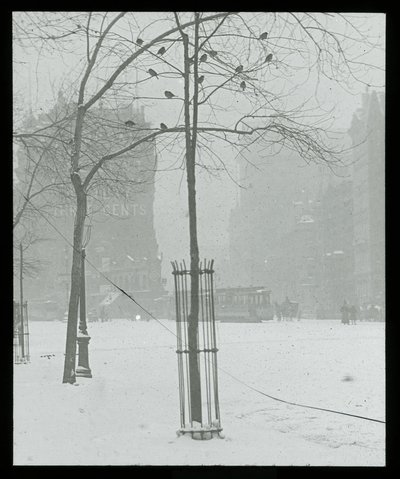 Fa hóban, New York City alkotó: Alfred Stieglitz