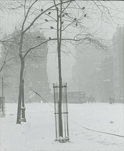 Tree in Snow, New York City, 190002. alkotó: Alfred Stieglitz