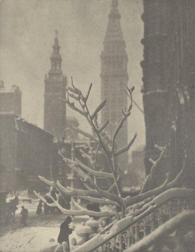  alkotó: Alfred Stieglitz