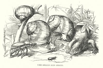  alkotó: Alfred Walter (after) Bayes