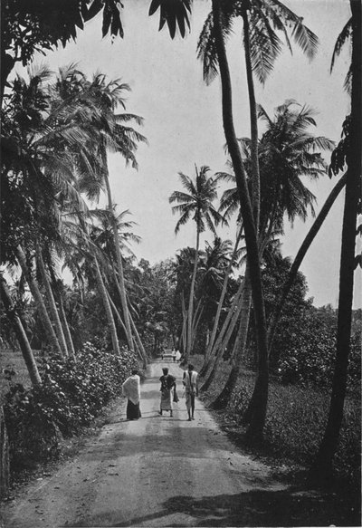 A Path Through Paddy Fields, c1890, 1910 alkotó: Alfred William Amandus Plate