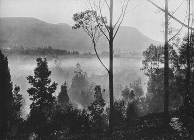 A kora reggeli köd felszáll Nuwara Eliyában, 1890, 1910 alkotó: Alfred William Amandus Plate