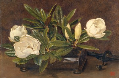„Magnolias”, 1867-1920 alkotó: Alfred William Parsons