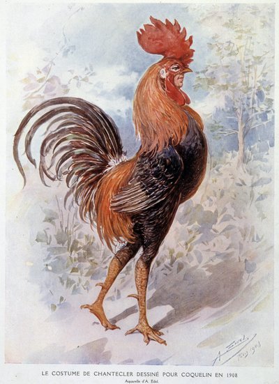 Chantecler kakas jelmeze, amelyet Constant Poppy számára terveztek 1908-ban, Edmond Rostand versében alkotó: Alfredo Edel