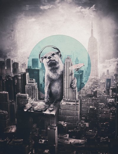 Urban Otter DJ alkotó: Ali Gulec