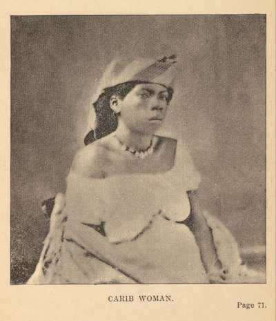 Karib nő alkotó: Alice Dixon Le Plongeon