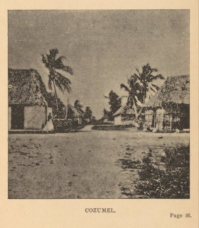 Cozumel alkotó: Alice Dixon Le Plongeon