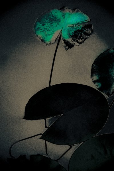 Emerald Spring, a Spring, 2020 sorozatból (kézzel átfestett fotó) alkotó: Alice Gur-Arie