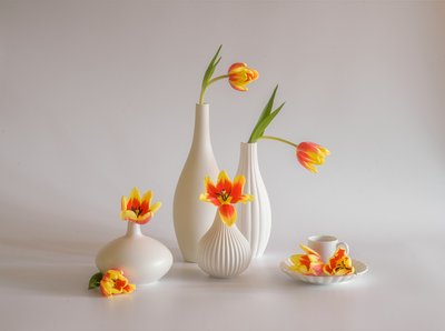 Ragyogó tulipános csendélet alkotó: Alice Sheng