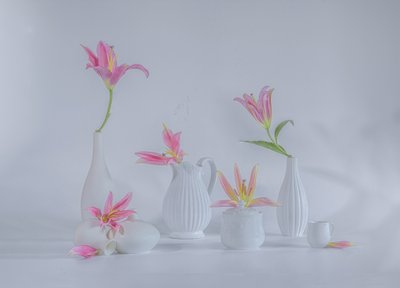 Finom rózsaszín liliomok alkotó: Alice Sheng