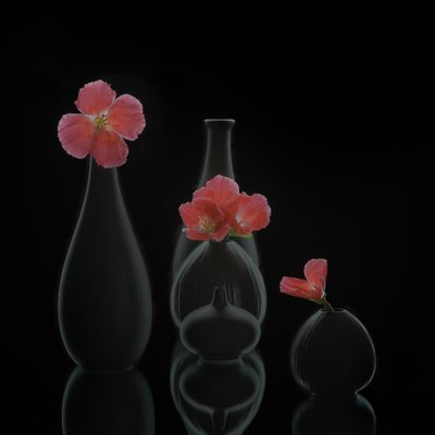 Minimalista virágvázák alkotó: Alice Sheng