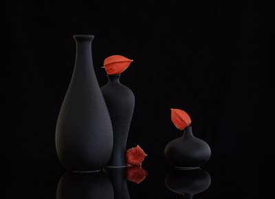 Narancssárga physalis csendélet alkotó: Alice Sheng