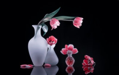 Rózsaszín tulipánok csendélet alkotó: Alice Sheng