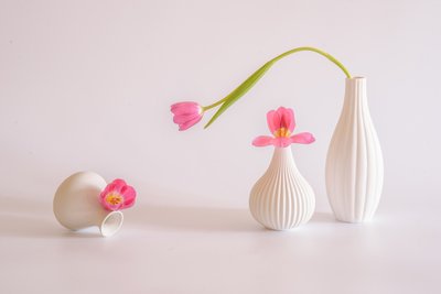 Rózsaszín tulipánok fehér vázákban alkotó: Alice Sheng