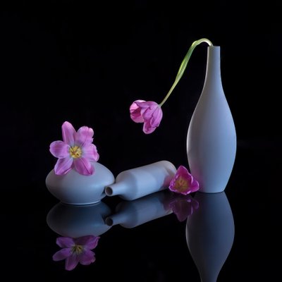 Tükröződő lila tulipánok alkotó: Alice Sheng