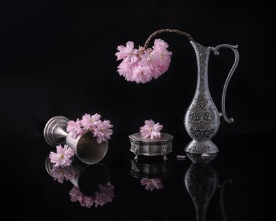 Ezüst és Sakura alkotó: Alice Sheng