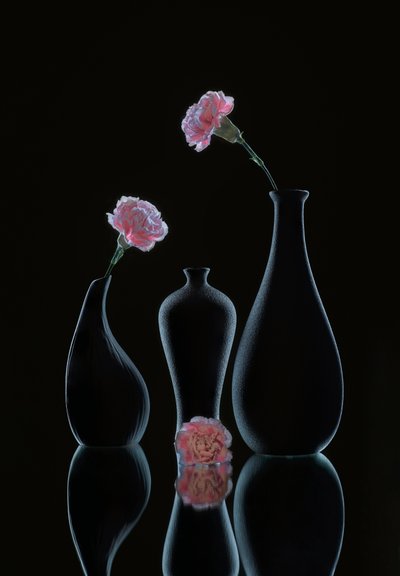 Elegáns virágos csendélet alkotó: Alice Sheng