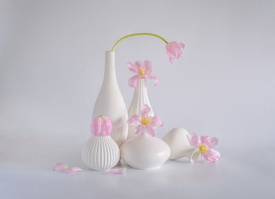 Halványrózsaszín tulipános csendélet alkotó: Alice Sheng