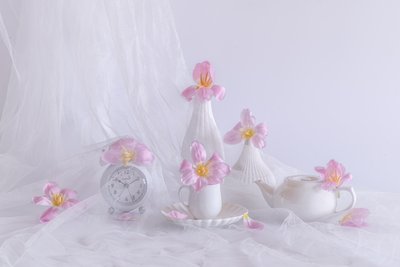 Halványrózsaszín tulipánok alkotó: Alice Sheng