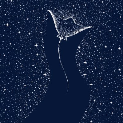 Kozmikus mantaraya alkotó: Alirıza ÇAKIR