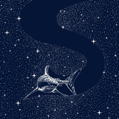 A Nagy Fehér Galaxis alkotó: Alirıza ÇAKIR