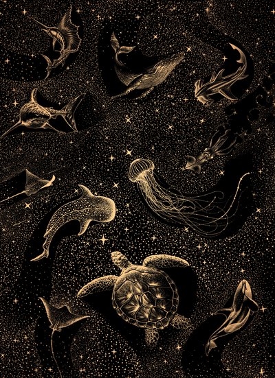 A tengeri élet galaxis alkotó: Alirıza ÇAKIR