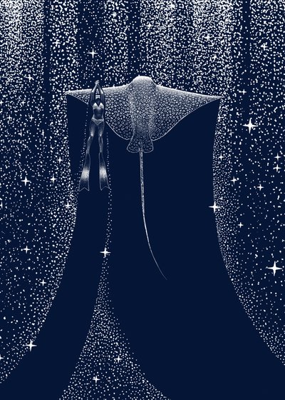 A Starlit Ray kísérője alkotó: Alirıza ÇAKIR