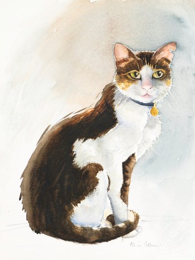 Dave, a szaúdi macska, 2019 (akvarell) alkotó: Alison Cooper