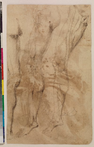 Három tanulmány egy férfi lábról (verso) 1537 körül (toll és barna tinta fektetett papíron) [lásd: 5948317] alkotó: Alonso (workshop of) Berruguete
