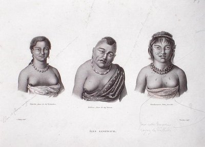 A hawaii főnökök feleségei a Sandwich-szigetekről, 1824 körül (metszet) alkotó: Alphonse (after) Pellion