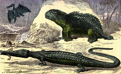 Őstörténet – jura időszak: A teleoszaurusz és a hyleoszaurusz. A Pterodactyl az emeleten. Természetes teremtés és élőlények. A. Demarle rajza. 1885 alkotó: Alphonse Demarle
