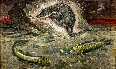 Transition from fish to reptiles: Proteosaur (top) reptile from fish, period of coal. The Holoptychius at the bottom left, and L