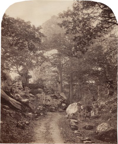 Fontainebleau alkotó: Alphonse Jeanrenaud