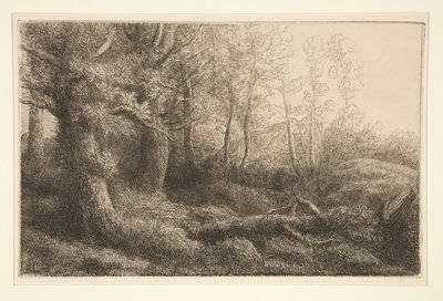 Egy erdővidéki tanulmány alkotó: Alphonse Legros
