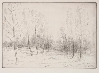 Nyárfák sugárútja alkotó: Alphonse Legros