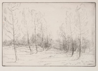 Nyárfák sugárútja. alkotó: Alphonse Legros