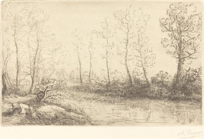 Nyírfák: Hajnali fényben látható víz széle Nyírfák: Hajnali fényben látható víz széle. alkotó: Alphonse Legros
