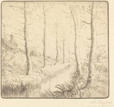 Nyírfák a víz mentén Nyírfák: Víz széle. alkotó: Alphonse Legros