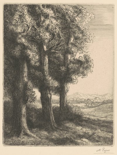 Corner of a Wood (Egy erdő szélén) alkotó: Alphonse Legros