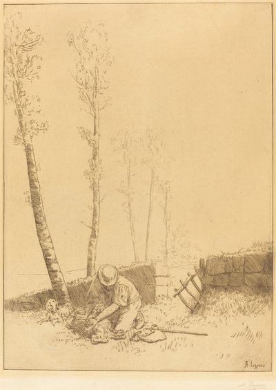 A Sheep Le mouton retrouve megtalálása. alkotó: Alphonse Legros